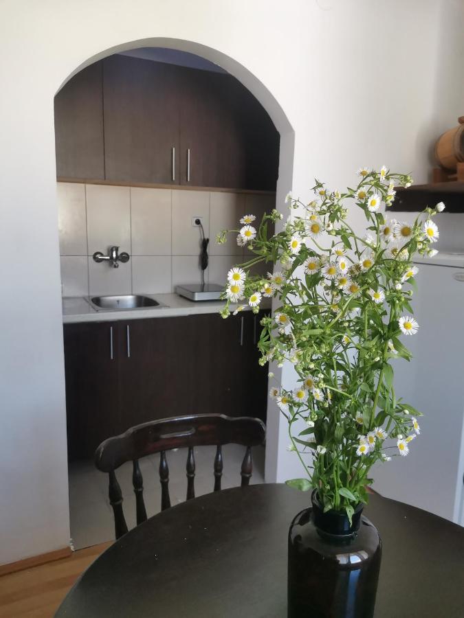 Apartamento Faris Donji Milanovac Exterior foto